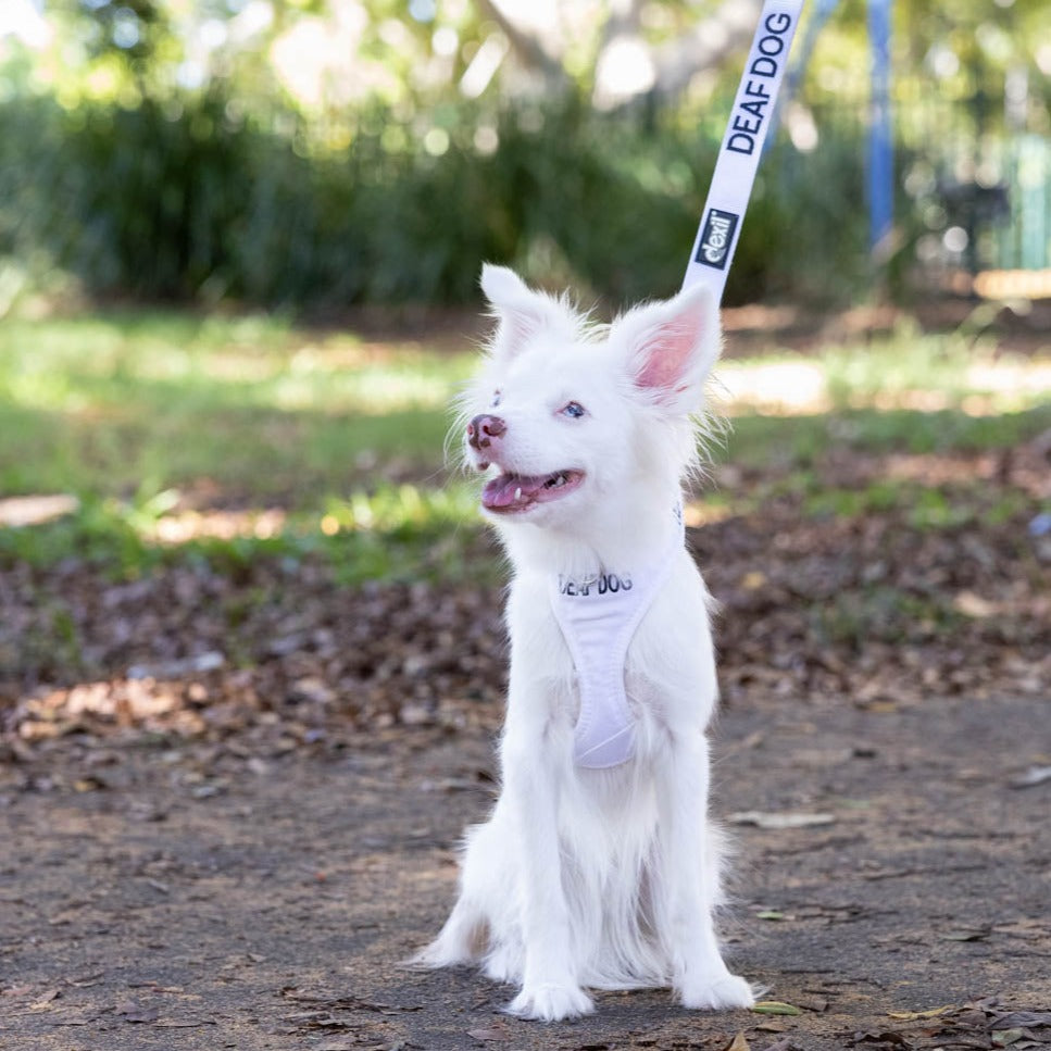 Dexil Friendly Dog Collars DEAF DOG XS adjustable Vest Harness