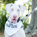 Dexil Friendly Dog Collars DEAF DOG Bandana