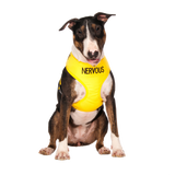 NERVOUS - Large adjustable Vest Harness