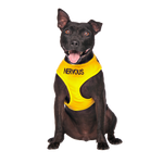Dexil Friendly Dog Collars Yellow NERVOUS Medium adjustable Vest Harness