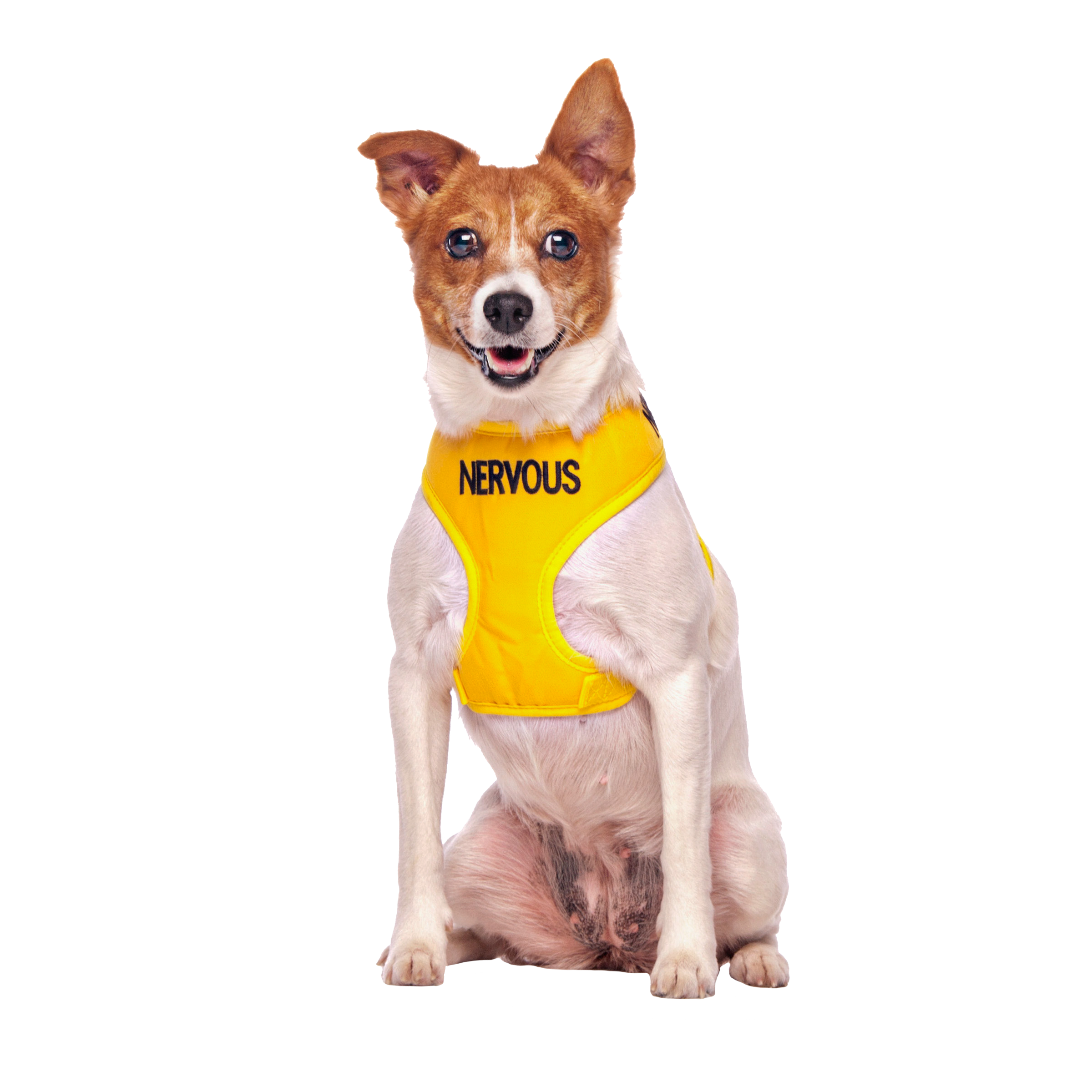 NERVOUS - Small adjustable Vest Harness