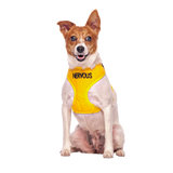 NERVOUS - Small adjustable Vest Harness