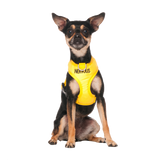 NERVOUS - XS adjustable Vest Harness