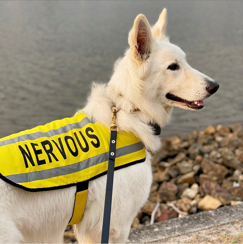 Dexil Friendly Dog Collars Yellow NERVOUS M/L Reflective Dog Coat