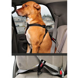 Car Restraint (Fixed)