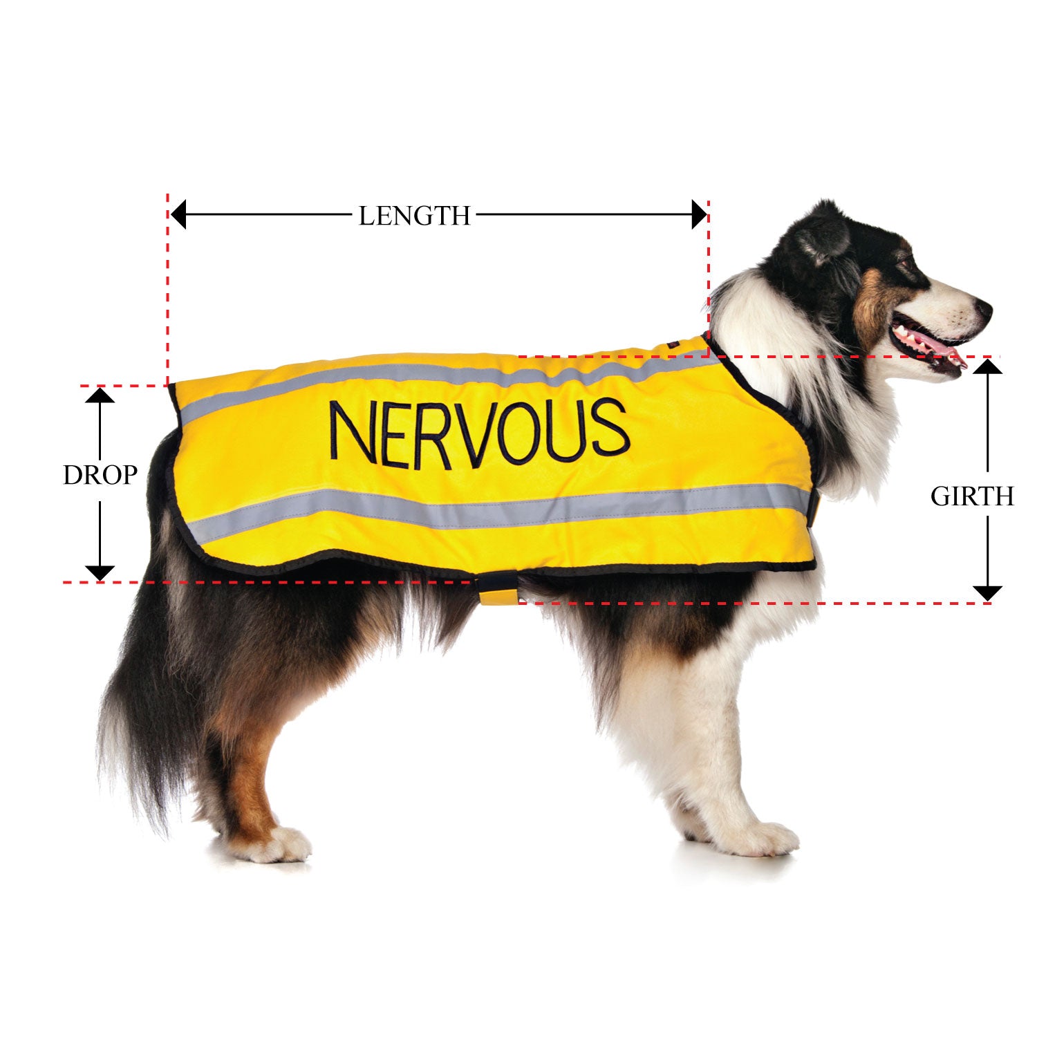 Dexil Friendly Dog Collars Yellow NERVOUS L/XL Reflective Dog Coat