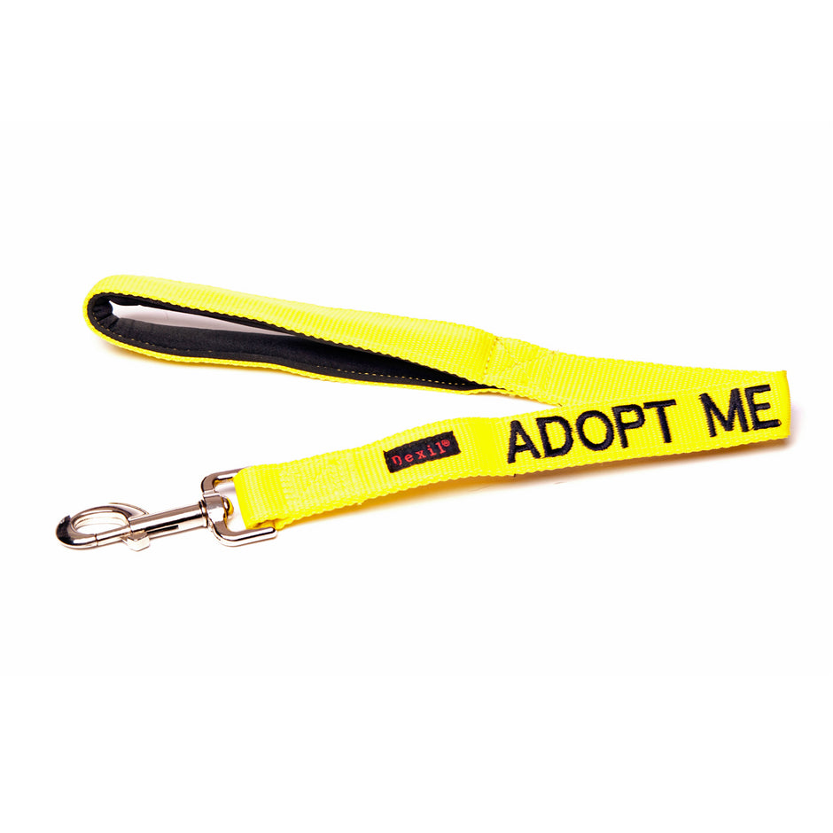 ADOPT ME Friendly Dog Collars