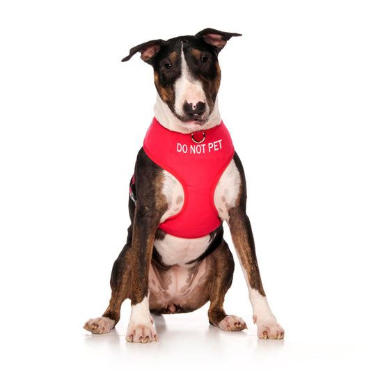 Dexil Friendly Dog Collars Red DO NOT PET Large adjustable Vest Harness