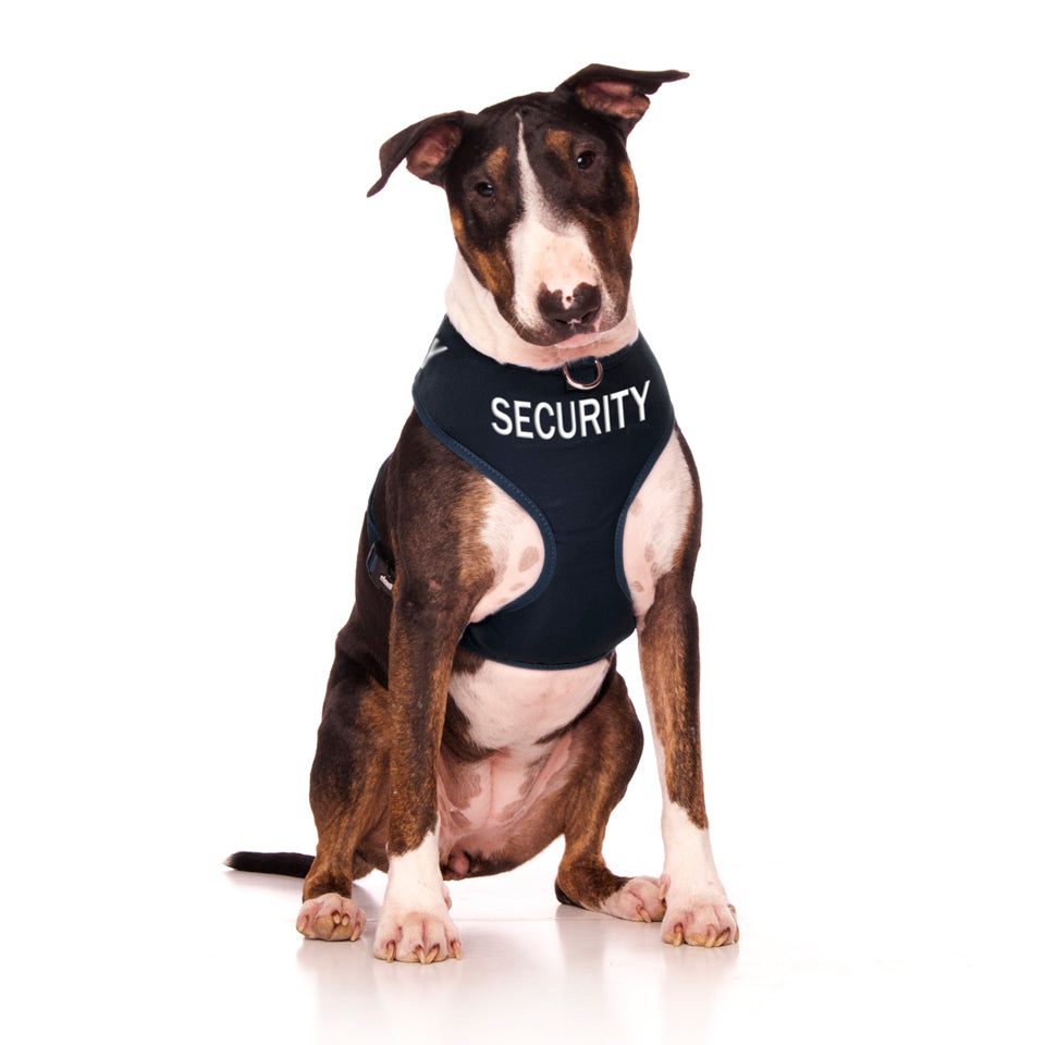 Dexil Friendly Dog Collars SECURITY Large adjustable Vest Harness