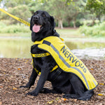 Dexil Friendly Dog Collars Yellow NERVOUS L/XL Reflective Dog Coat