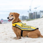 Dexil Friendly Dog Collars yellow NERVOUS Small Reflective Coat 