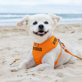 Dexil Friendly Dog Collars NO DOGS Small Orange Vest Harness