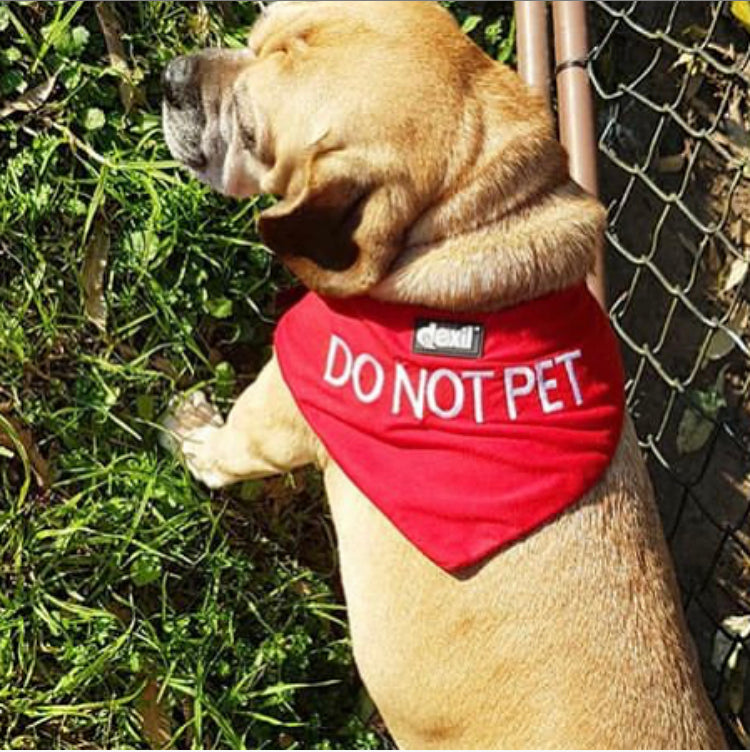 Friendly Dog Collars DO NOT PET Dog Bandana