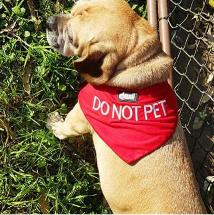 DO NOT PET Bandana Friendly Dog Collars