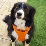 Dexil Friendly Dog Collars Orange NO DOGS Large Adjustable Vest Harness