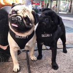 Dexil Friendly Dog Collars SECURITY Small adjustable Vest Harness