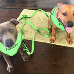 Friendly Dog Collars Green FRIENDLY Long 180cm 6ft Lead