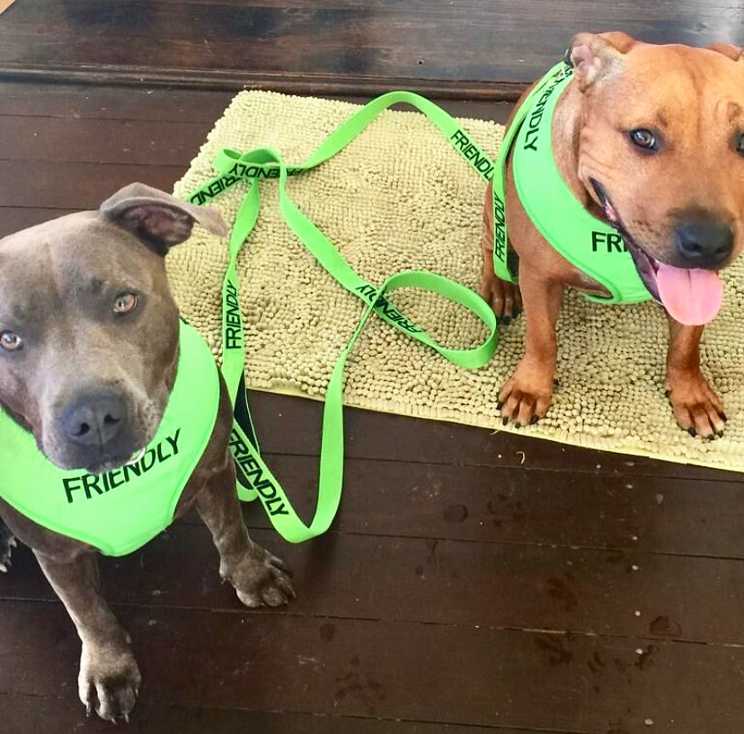Friendly Dog Collars Green FRIENDLY Long 180cm 6ft Lead