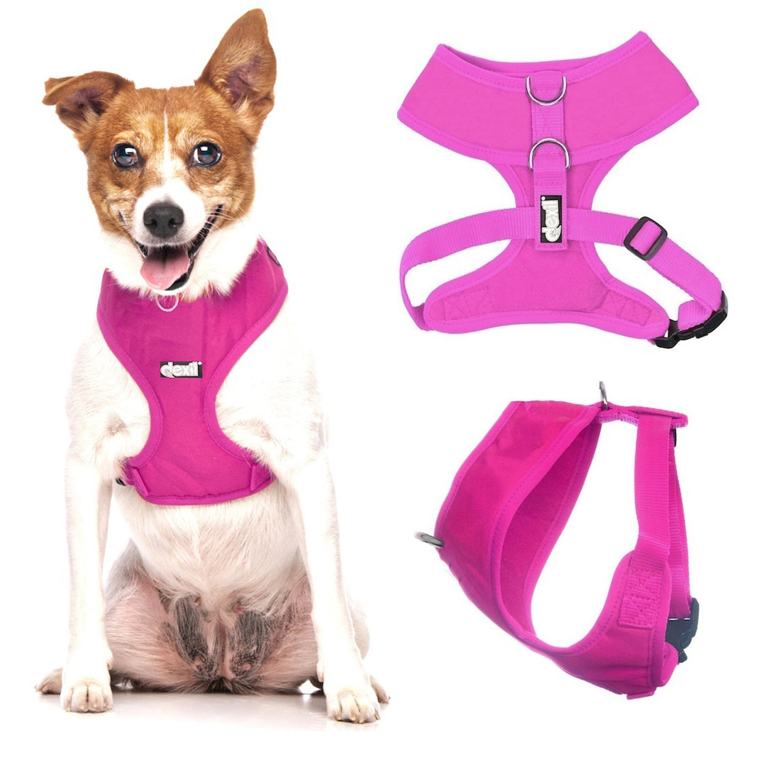 Dexil Pink Harness