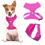 Dexil Pink Harness
