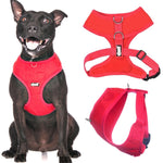 Dexil Large Harness