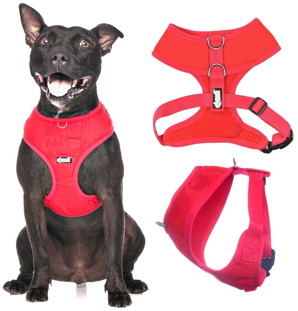 Friendly Dog Collars by Dexil Red Dog Harness