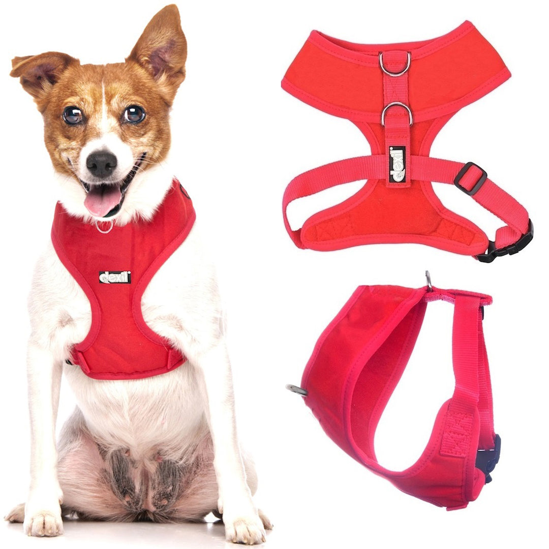 Dexil Red Harness