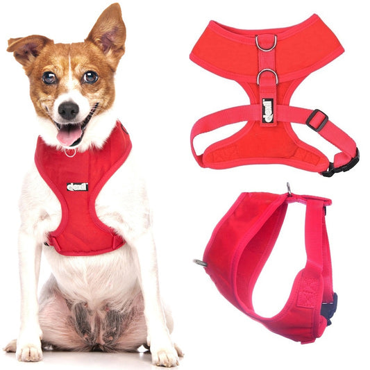 Dexil Red Harness