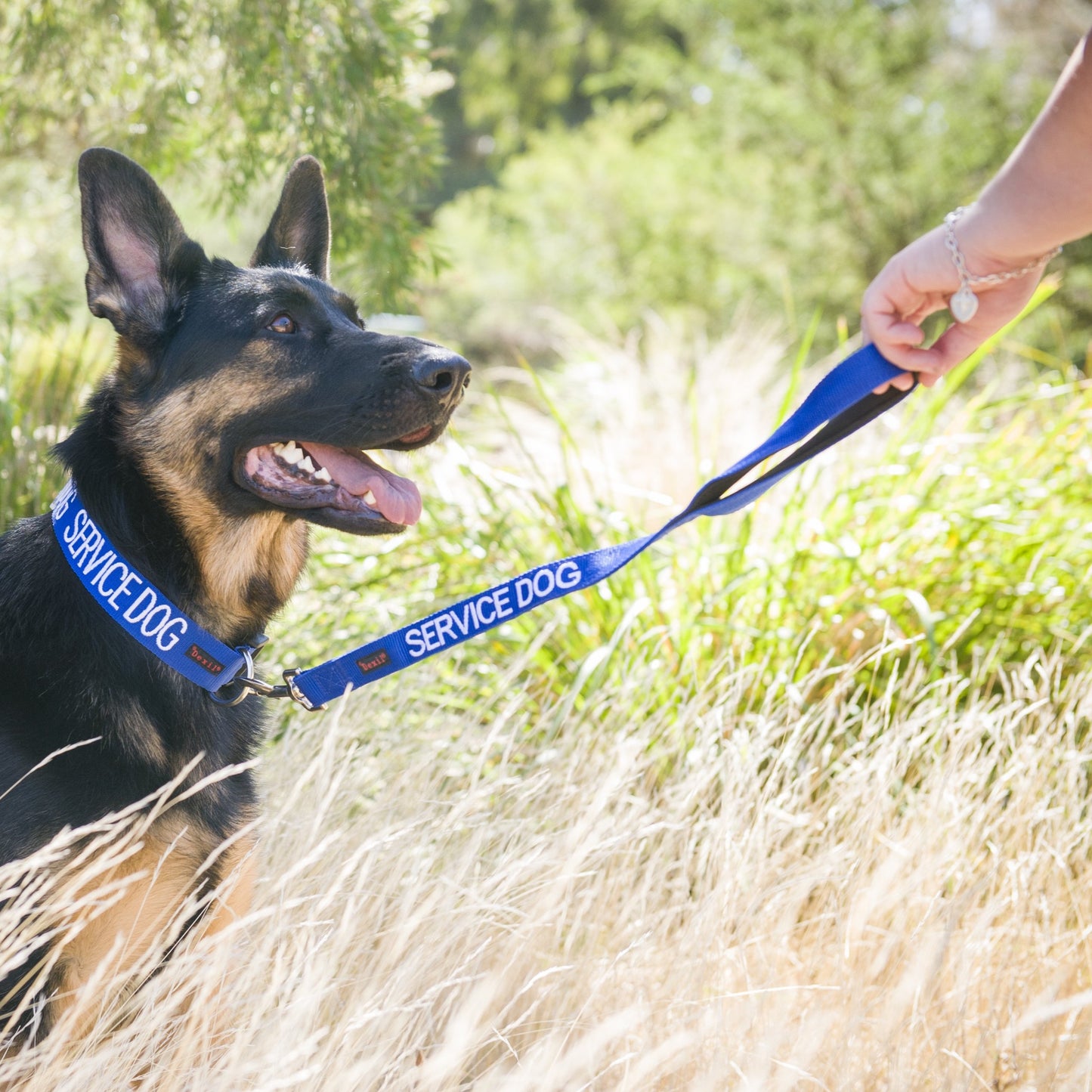 Dexil Friendly Dog Collars SERVICE DOG Short 60cm (2ft) Lead