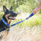 Dexil Friendly Dog Collars SERVICE DOG Short 60cm (2ft) Lead