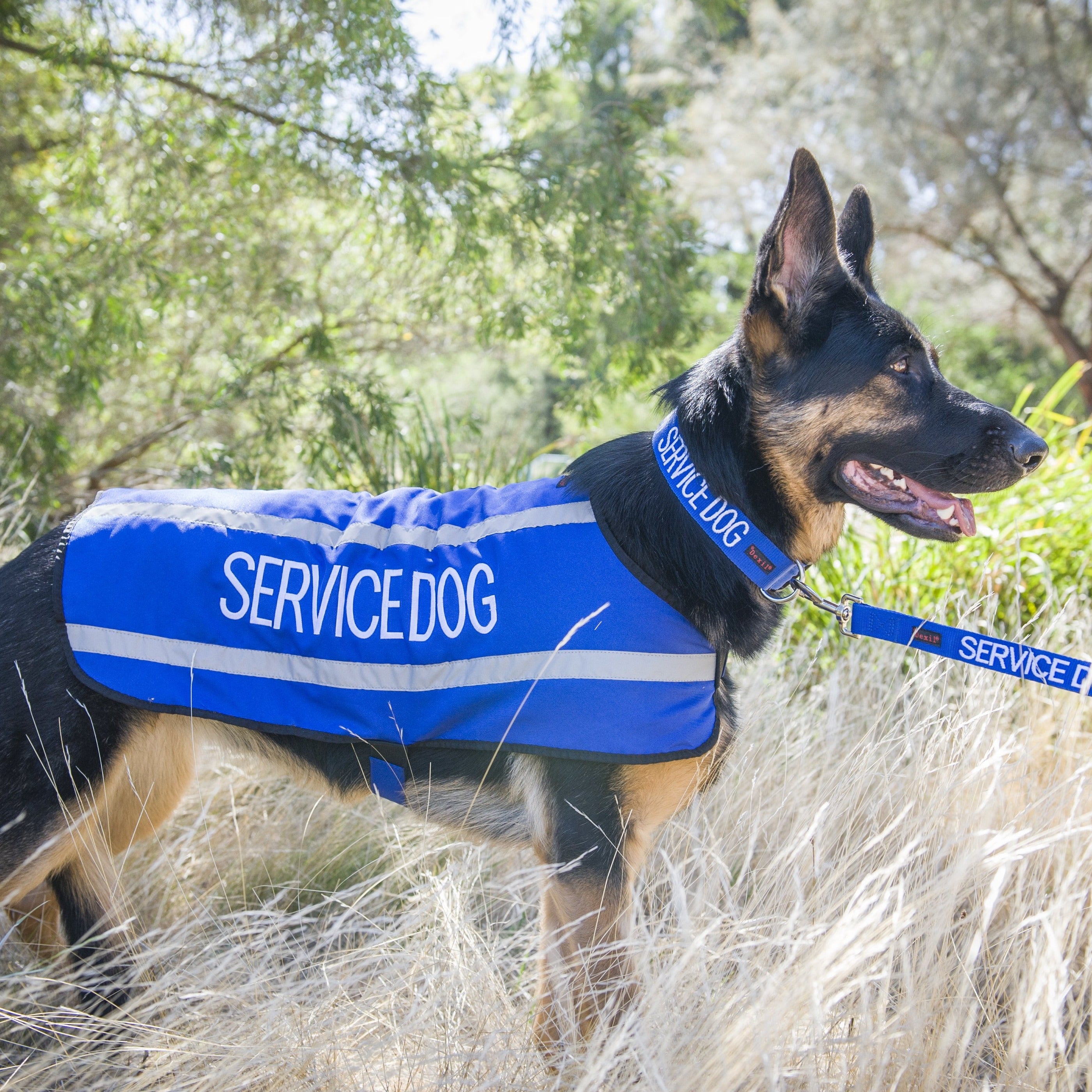 Dexil Friendly Dog Collars SERVICE DOG Large Reflective Coat