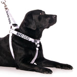 Dexil Friendly Dog Collars BLIND DOG L/XL adjustable Strap Harness