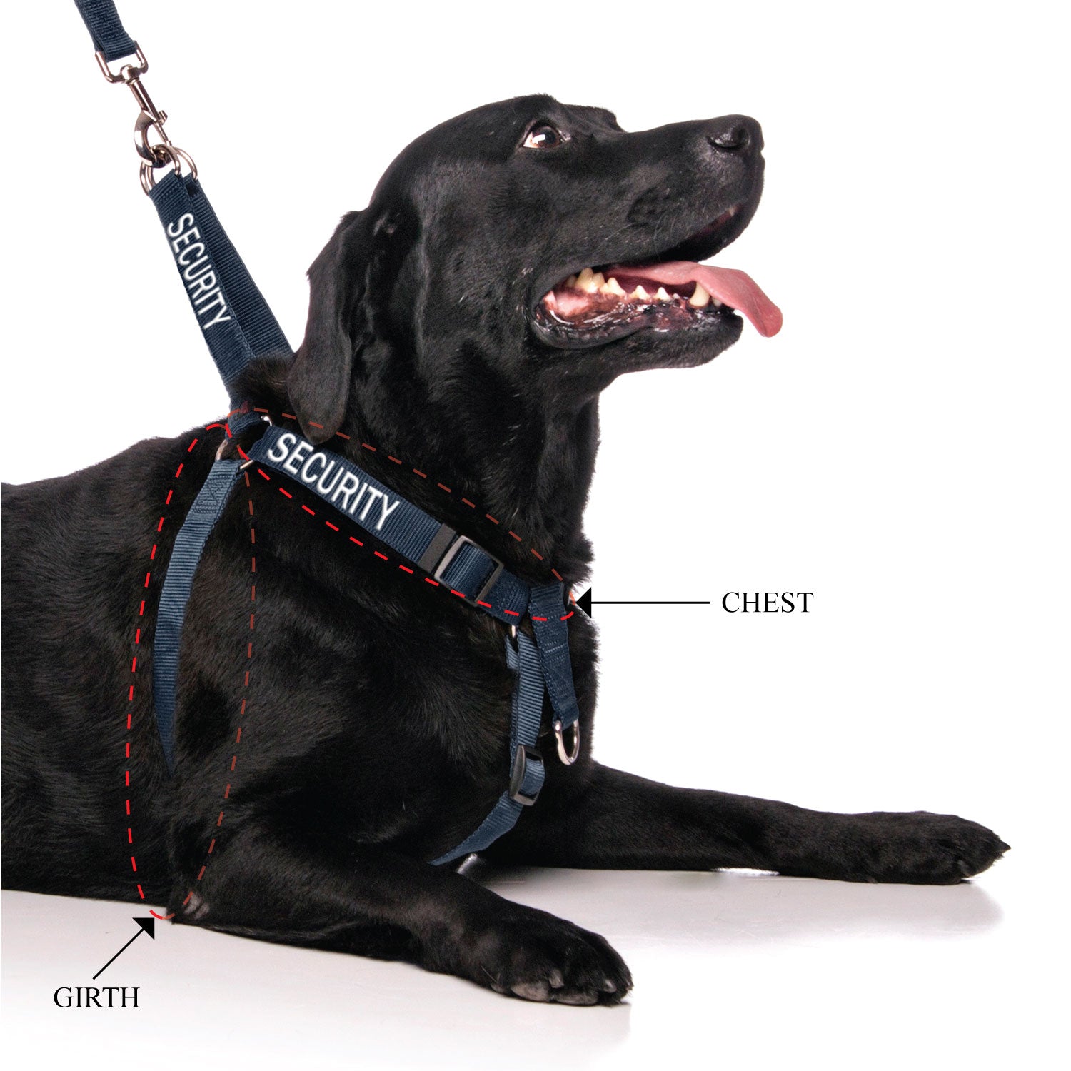 SECURITY - L/XL adjustable Strap Harness