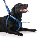 Dexil Friendly Dog Collars Blue TRAINING L/XL adjustable Strap Harness