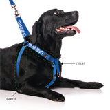Dexil Friendly Dog Collars Blue TRAINING L/XL adjustable Strap Harness