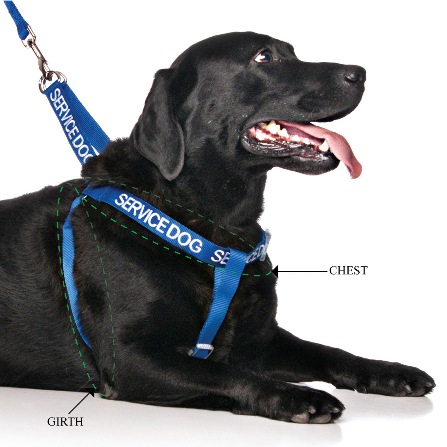 Dog Leash Service Dog Sling SERVICE DOG L/XL Adjustable Strap