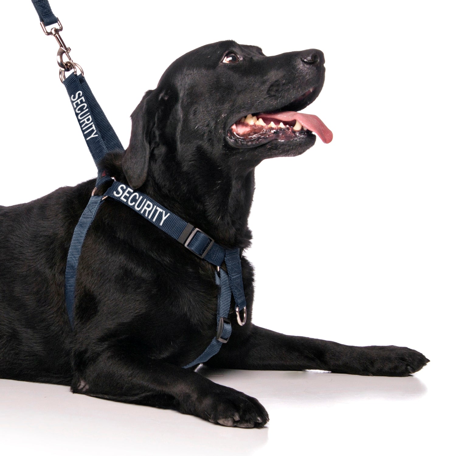 Dexil Friendly Dog Collars SECURITY L/XL adjustable Strap Harness