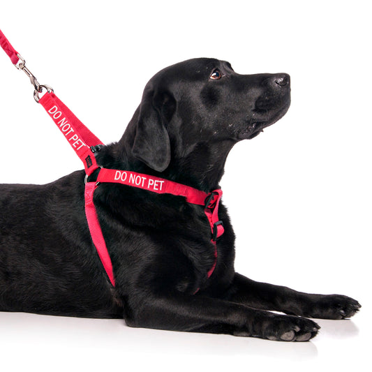 Dexil Friendly Dog Collars DO NOT PET L/XL adjustable Strap Harness