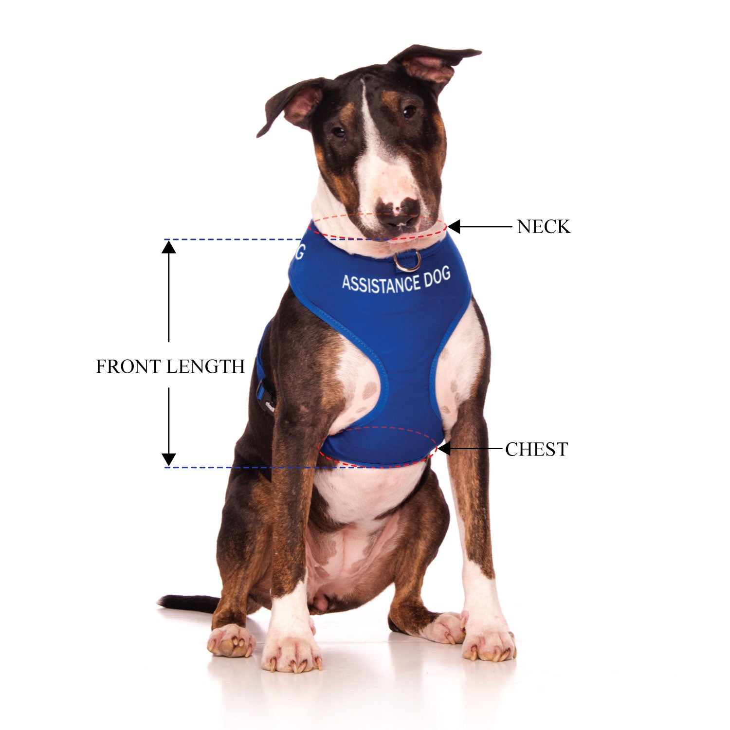 ASSISTANCE DOG - Large adjustable Vest Harness