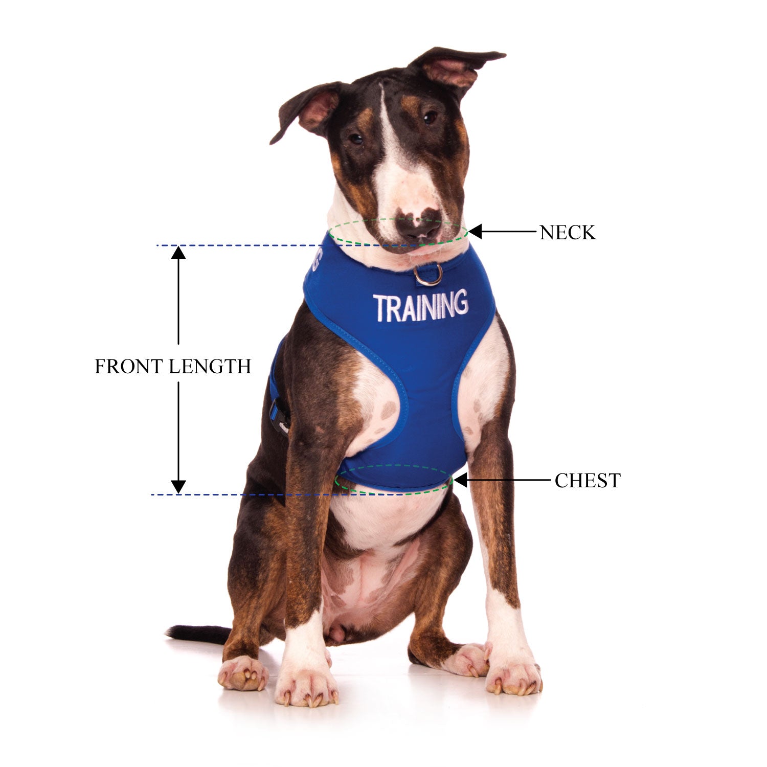 TRAINING - Large adjustable Vest Harness