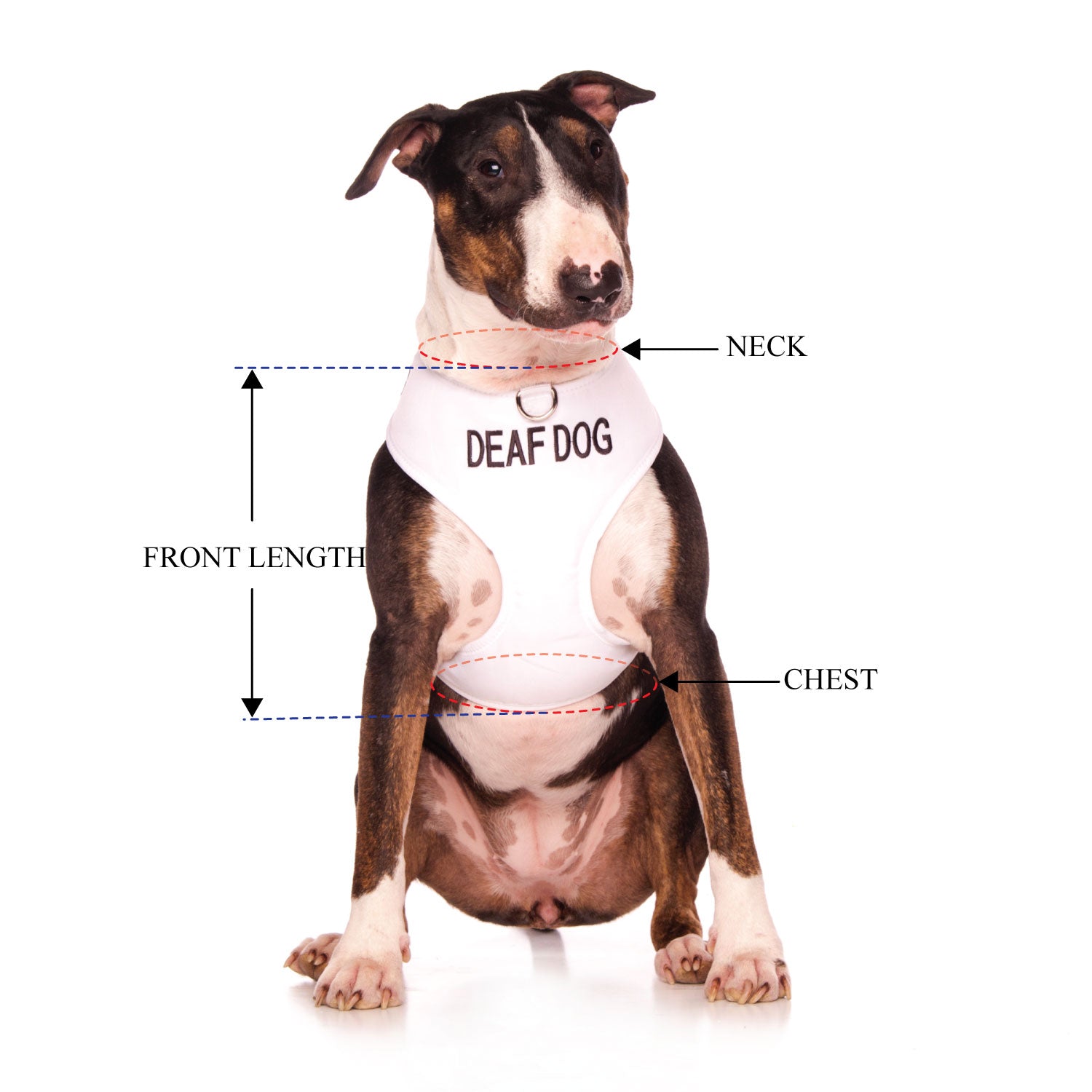 DEAF DOG - Large adjustable Vest Harness