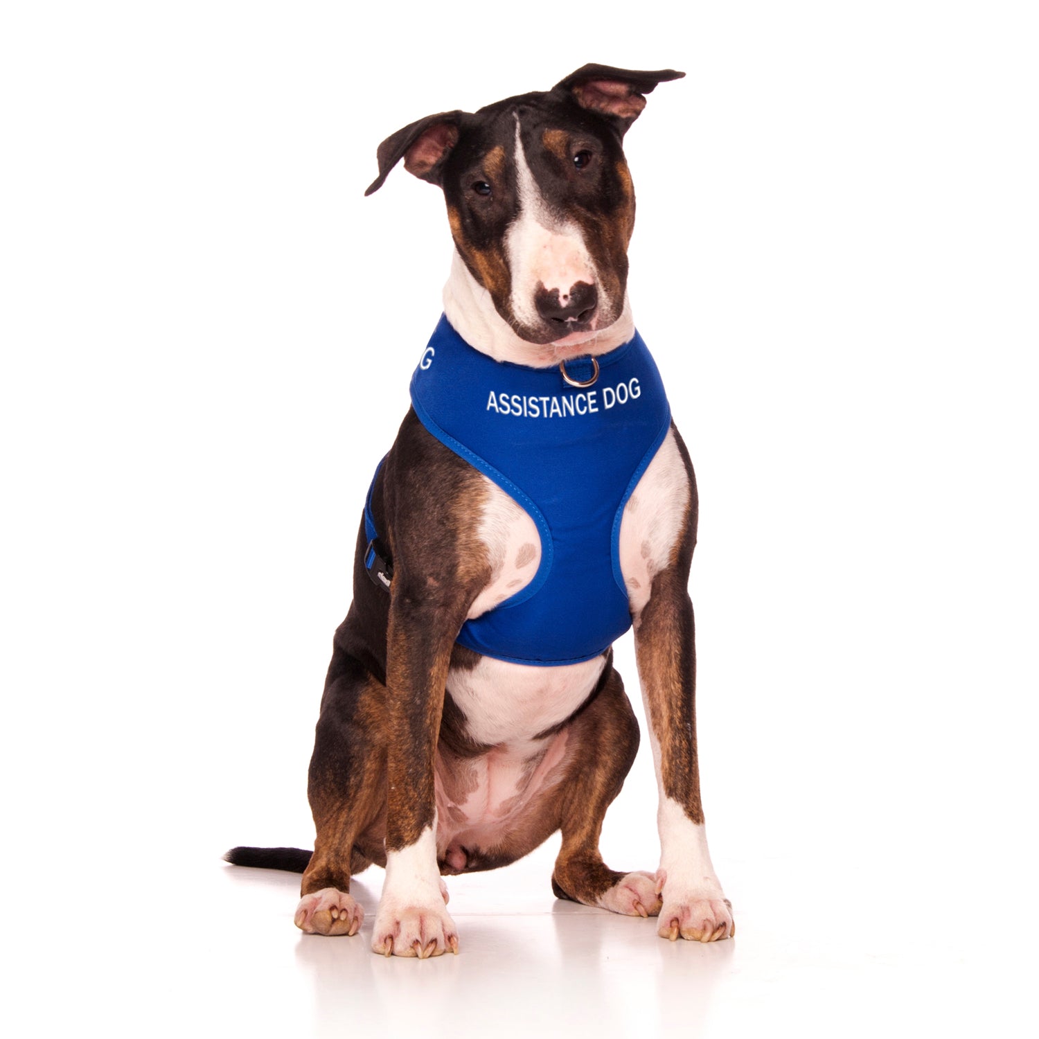Dexil Friendly Dog Collars ASSISTANCE DOG Large adjustable Vest Harness