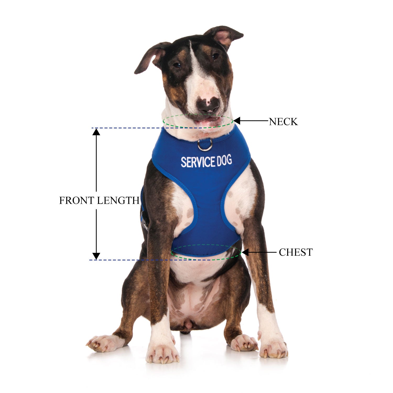 SERVICE DOG - Large adjustable Vest Harness