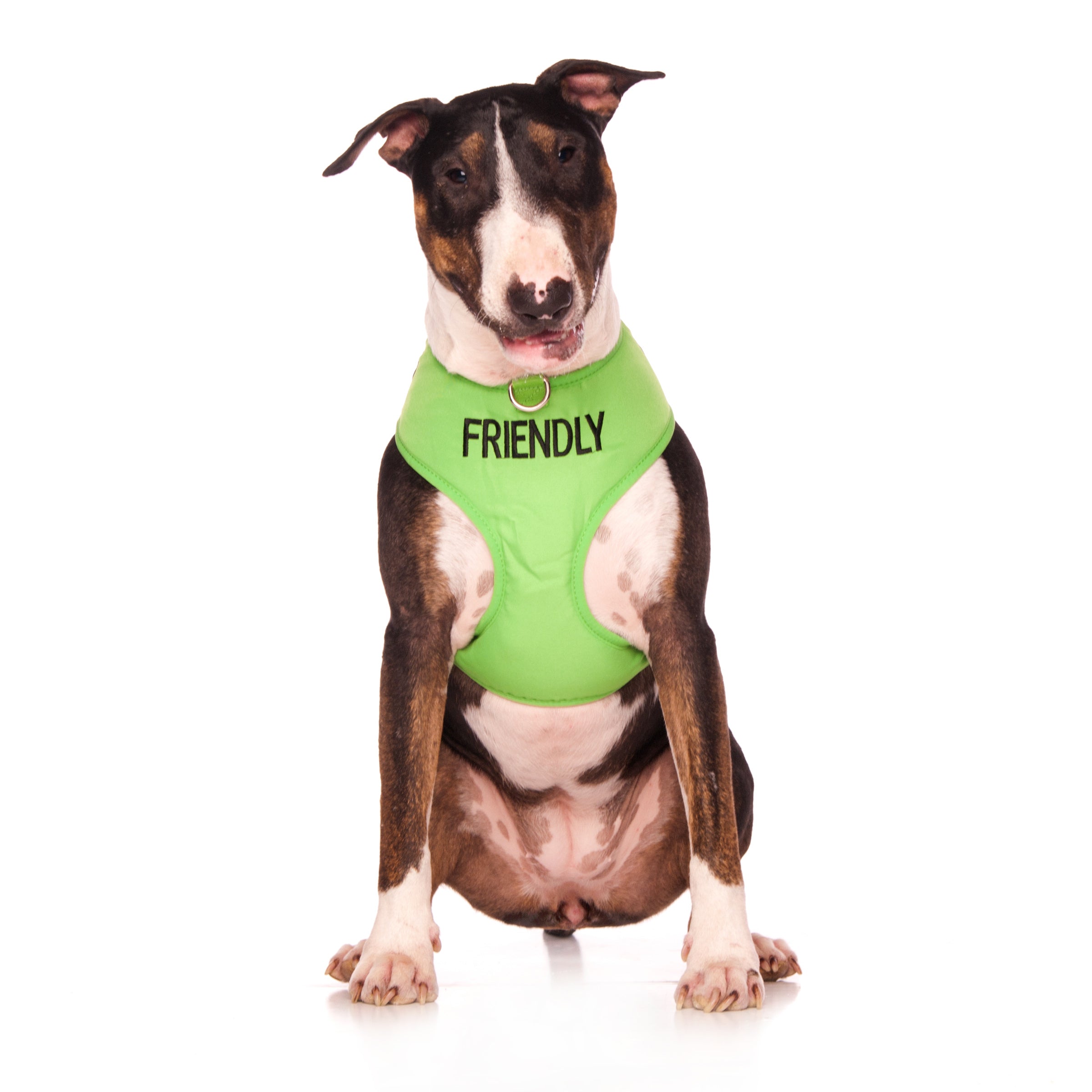 Friendly Dog Collars Green FRIENDLY Large Vest Harness