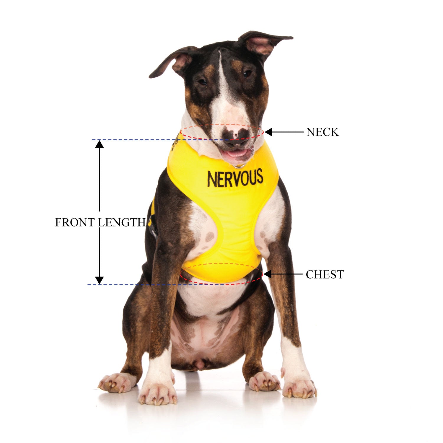 NERVOUS Large Adjustable Vest Harness Chest 55 80cm Yellow