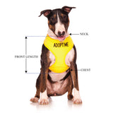 ADOPT ME - Large adjustable Vest Harness