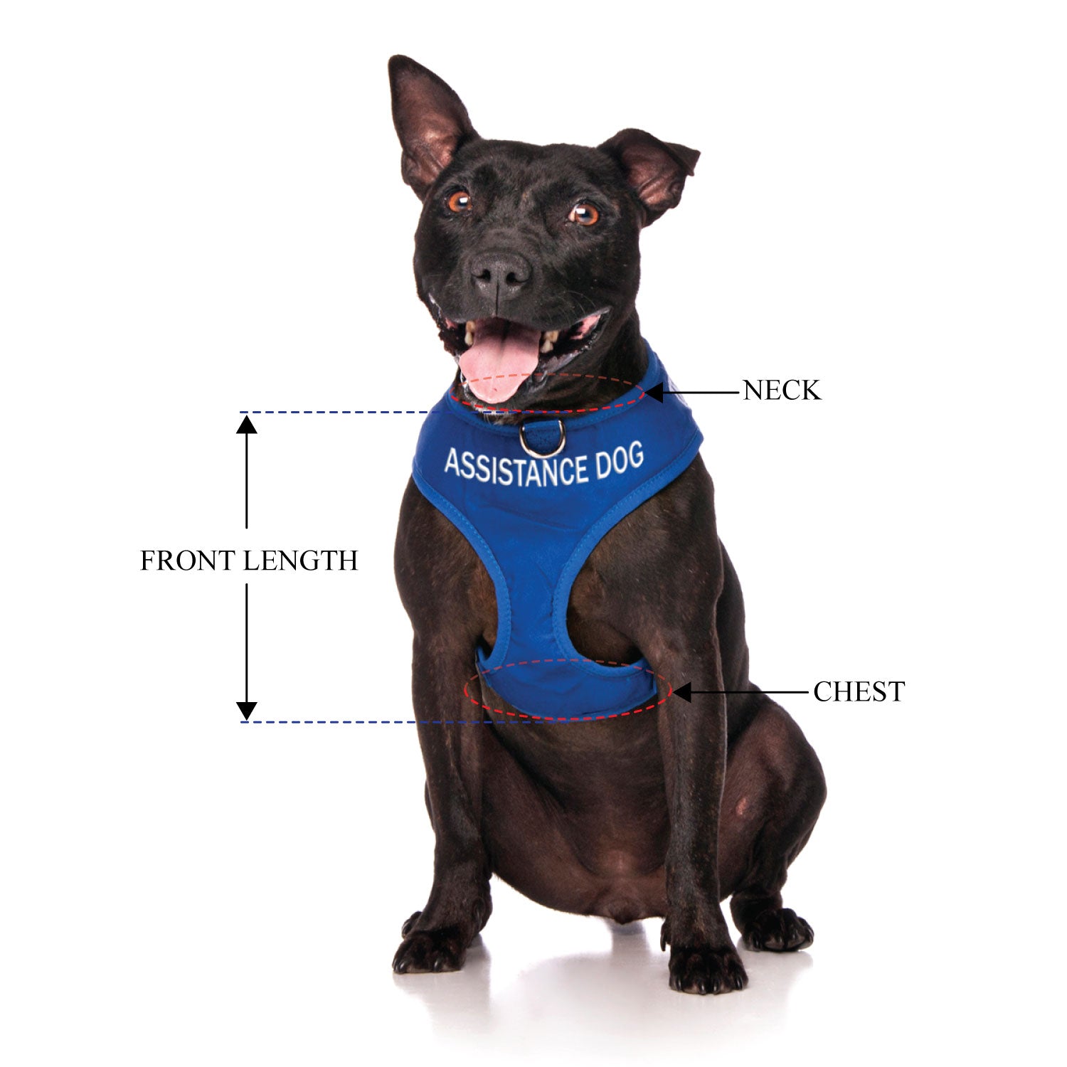 ASSISTANCE DOG - Medium adjustable Vest Harness