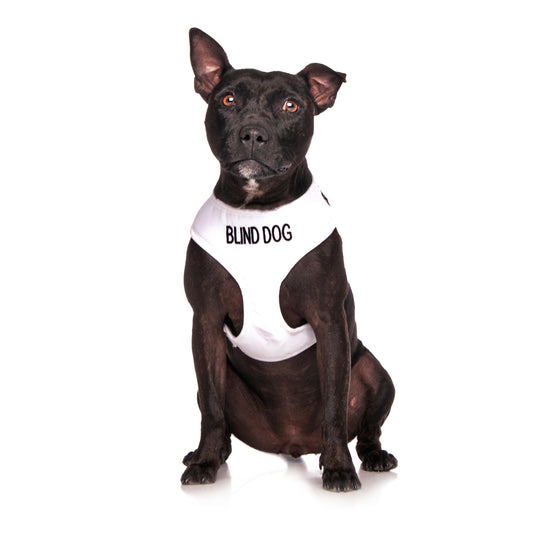 Dexil Friendly Dog Collars BLIND DOG Medium Vest Harness
