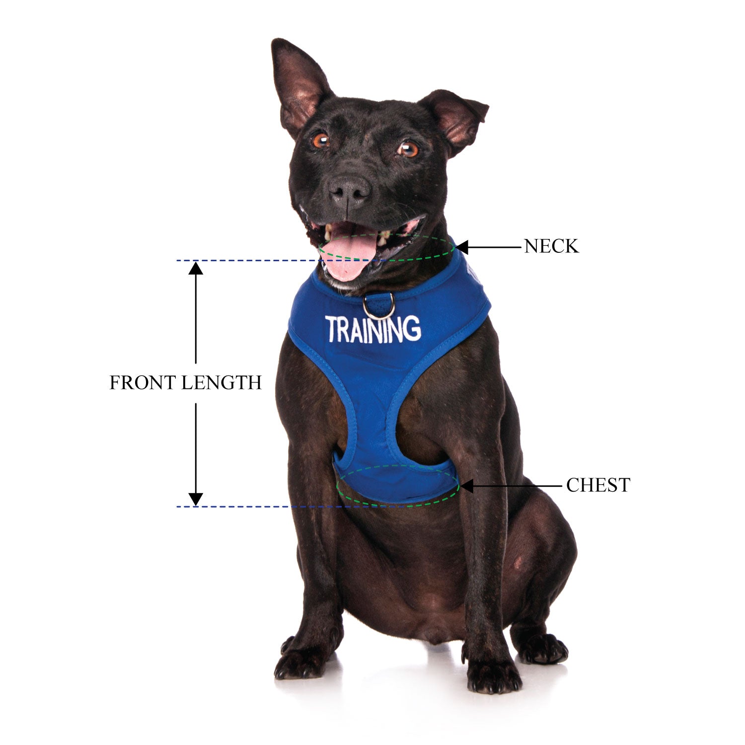 TRAINING DOG - Medium adjustable Vest Harness