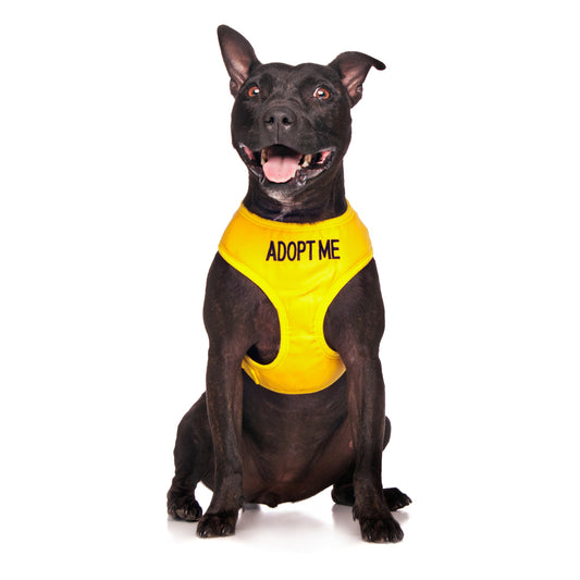 Dexil Friendly Dog Collars ADOPT ME Medium Vest Harness